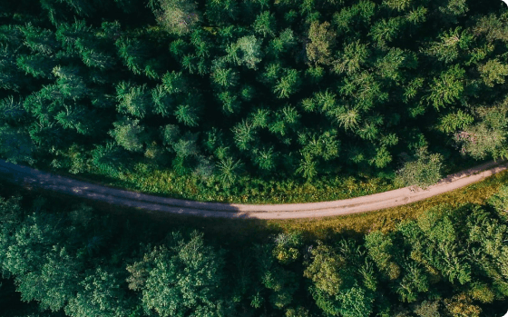 Od 2020. smo 100% CO2 neutralni u našem poslovanju