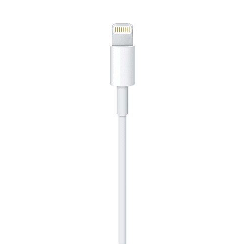 APPLE Lightning kabl 1 m MXLY2ZM/A