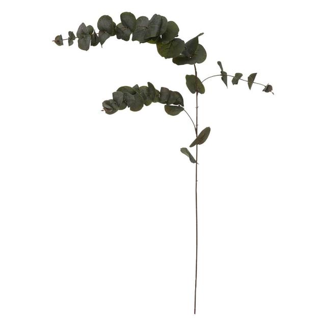 ATMOSPHERA Eucalyptus grana